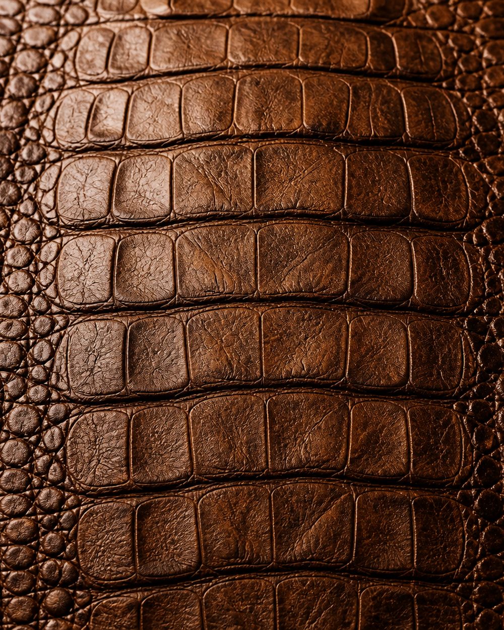 Nile crocodile belly leather showing the even centre scale line